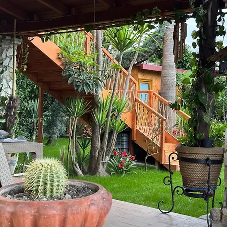 Villa Verde Vlore فلورا